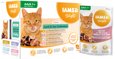 Land & Sea Collection kastikkeessa 12x85g Delights Iams - Aikuisten kissojen säilykkeet - 000528 - 1