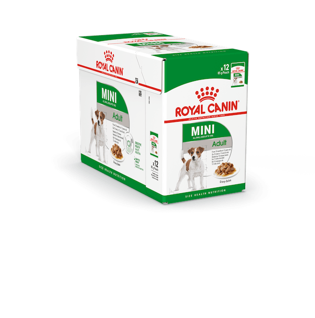 MINI Adult Gravy 12x85g kastike Royal Canin - Koiran säilykkeet aikuisille koirille - 011838 - 2