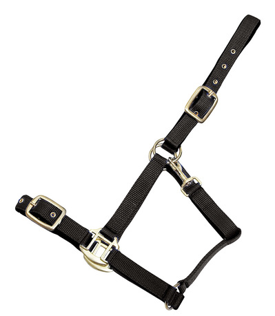 Nylonriimu Avery turvalta avattava topattu musta Horse Comfort - Hevosen nylonriimut - 006548 - 1