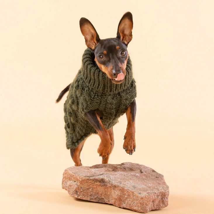 Palmikkoneule vihreä PAIKKA Käsinkudottu - Koiran paidat ja neuleet - 027878 - 1