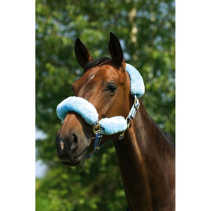 Riimusetti villaa 4-osaa natural C.S.O. - Hevosen varusteiden pehmusteet - 027618 - 1