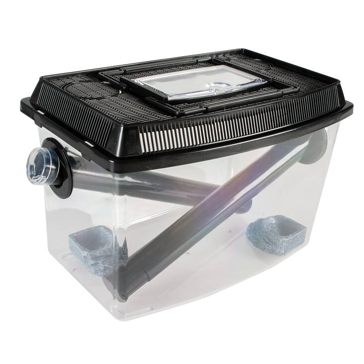 Sirkkaboxi 30x19x20cm Terra Della - Terraarion tarvikkeet ja kuivikkeet - 039548 - 1