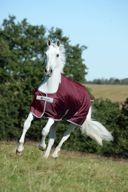 Toppaloimi Atlantic Exclusive Medium 200g Wine Bucas - Hevosen kevyttoppaloimet ulkoiluun - 034738 - 1