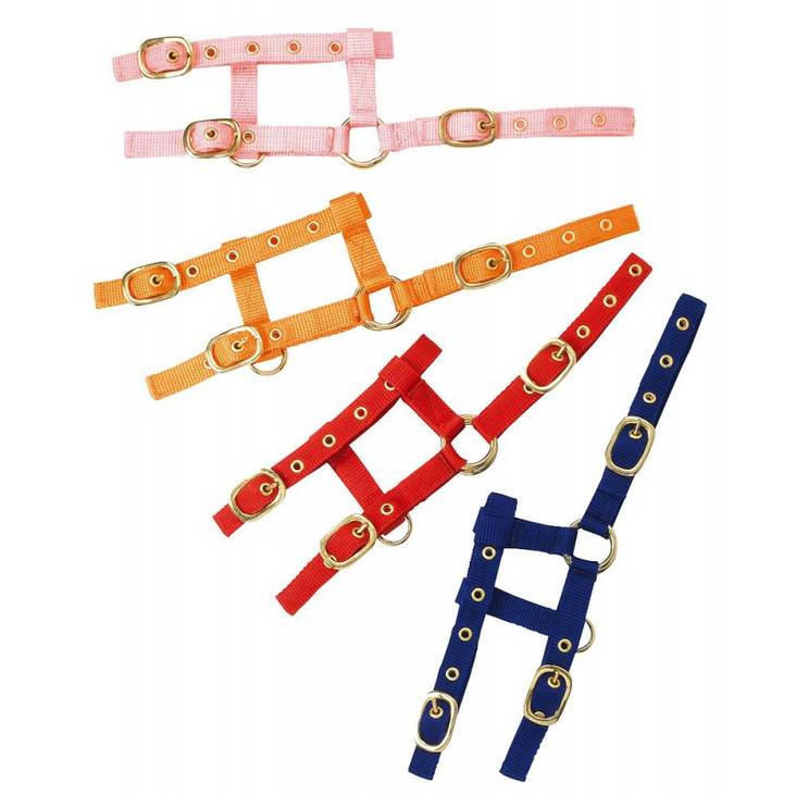 Varsariimu Mini säädettävä Norton - Hevosen nylonriimut - 034768 - 1