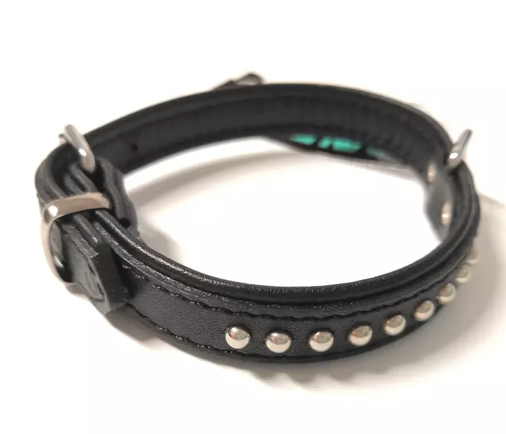 Solkipanta nahkaa pyörein niitein musta 16mm Onega - Koiran solkipannat - 030458 - 1