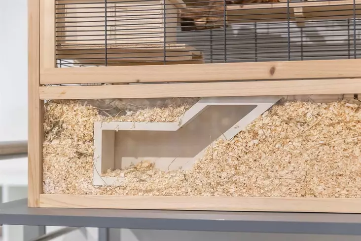 Puinen tarkkailutunneli jyrsijälle 36x17cm Trixie - Pieneläinten häkkitarvikkeet - 057278 - 1