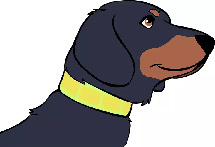 Heijastava kaulapanta 3cm leveällä nauhalla Boett - Koiran heijastimet ja turvavalot - 019938 - 1