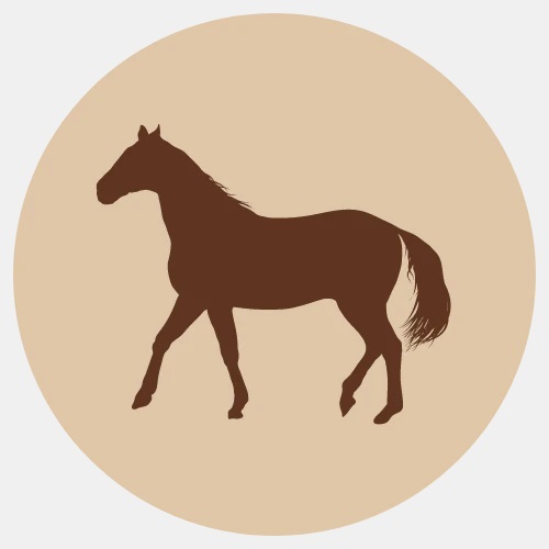 Hevosen palaliha 500g pakaste Fanimal - Koiralle pakastelihat ja -elimet - 044078 - 1