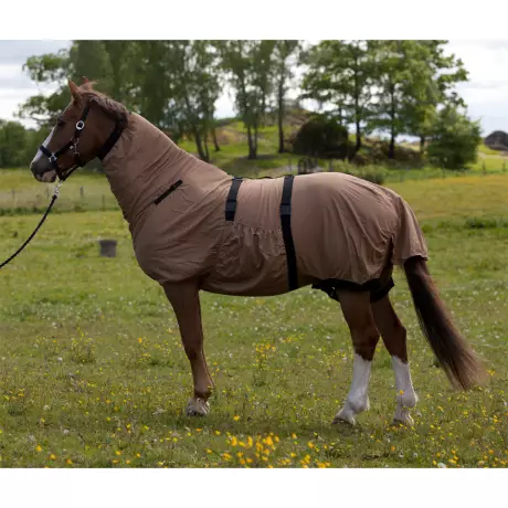 Ihottumaloimi UV-suoja ruskea Hansbo Sport - Hevosen ihottumaloimet - 001778 - 1