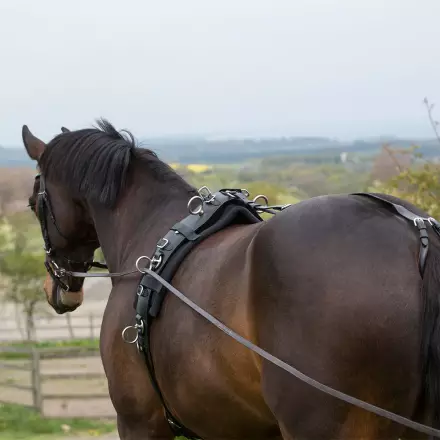 Juoksutus/Ohjasajovyö nahkaa Pony/Full Hansbo Sport - Hevosen juoksutus ja maastakoulutus - 026658 - 1