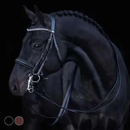 Kankisuitset JAIPUR Cob mustat Hansbo Sport - Ratsuhevosen suitset ja turpahihnat - 024918 - 1