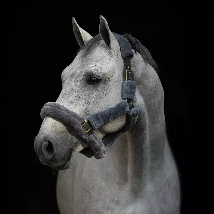 Keinoturkisriimu Faux Fur harmaa Hansbo Sport - Hevosen nylonriimut - 047848 - 1