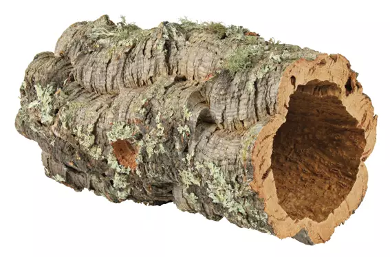 Korkkipuutunneli M 14x40cm Trixie - Terraarion tarvikkeet ja kuivikkeet - 044638 - 1