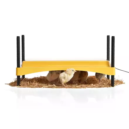 Lämpökatos tipuille 438x283mm 1200 safe Ecoglow Brinsea - Kotieläinten kasvatus - 028168 - 1