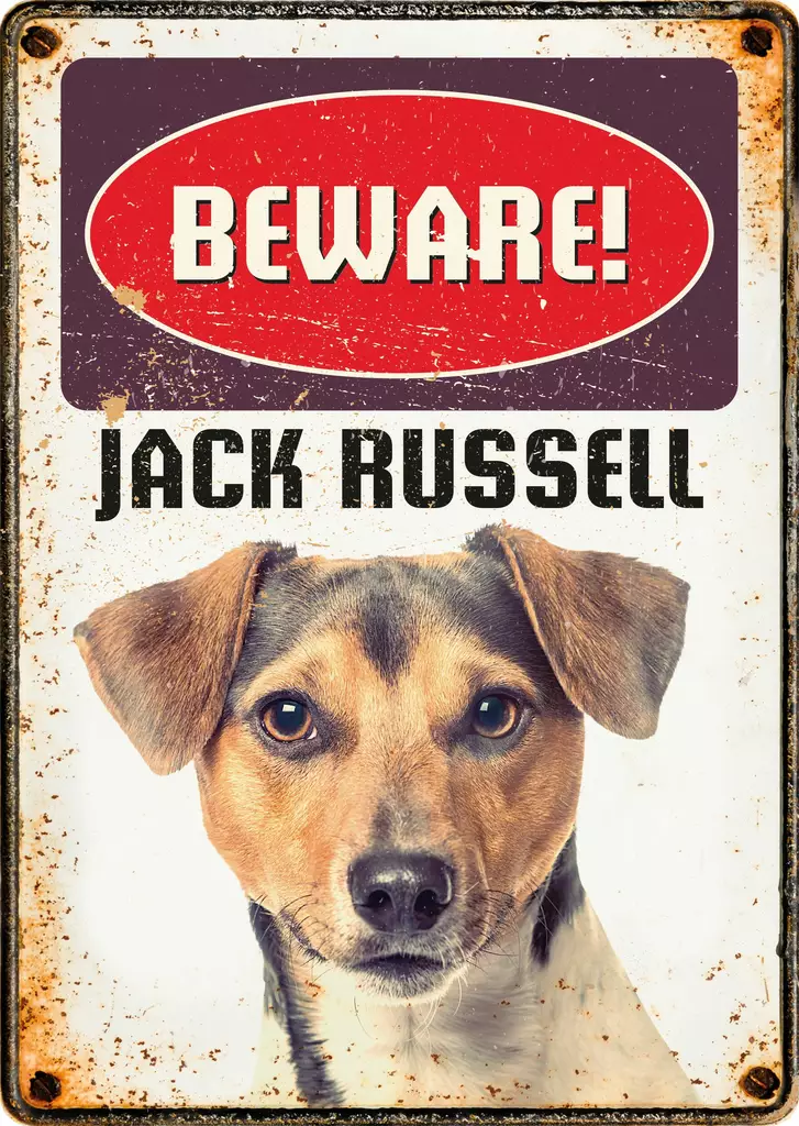 Metallikyltti "Beware! Jack Russell" 21x14,8cm Flamingo - Varoitus- ja huomiokyltit - 059338 - 1