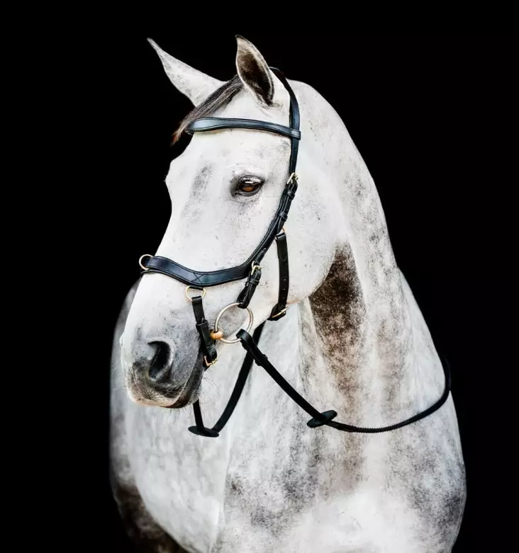 Monitoimisuitset Micklem 2 Multi musta Horseware - Ratsuhevosen suitset ja turpahihnat - 055438 - 1