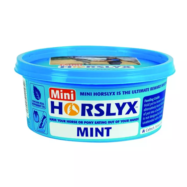 Nuolu/koulutuskivi Mini Minttu 650g Horslyx - Hevosen suola ja nuolukivet - 039108 - 1