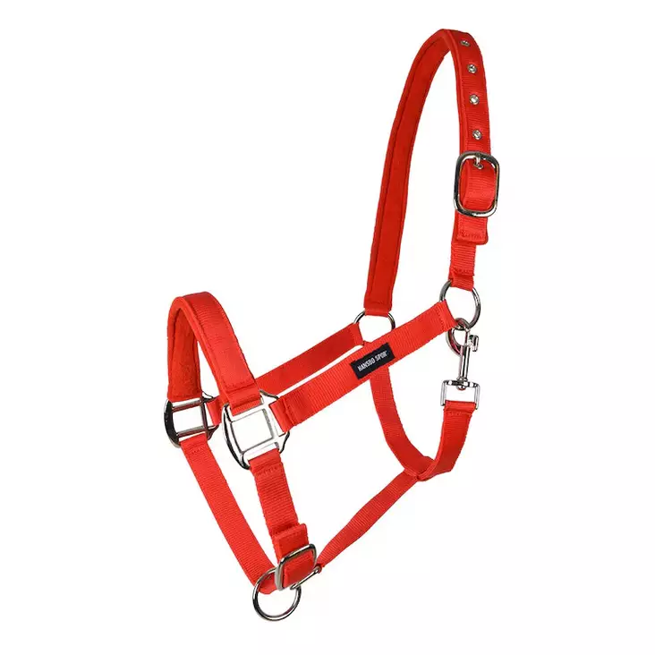 Nylonriimu punainen topattu Hansbo Sport - Hevosen nylonriimut - 016378 - 1