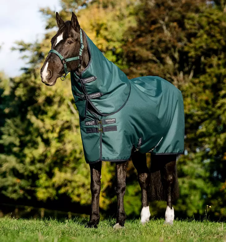 Sadeloimi Amigo Ripstop irrotettavalla kaulakappaleella PONY 900D Plus 0g dynasty green/navy & silver Horseware - Hevosen toppaloimet ulkoiluun - 059388 - 1