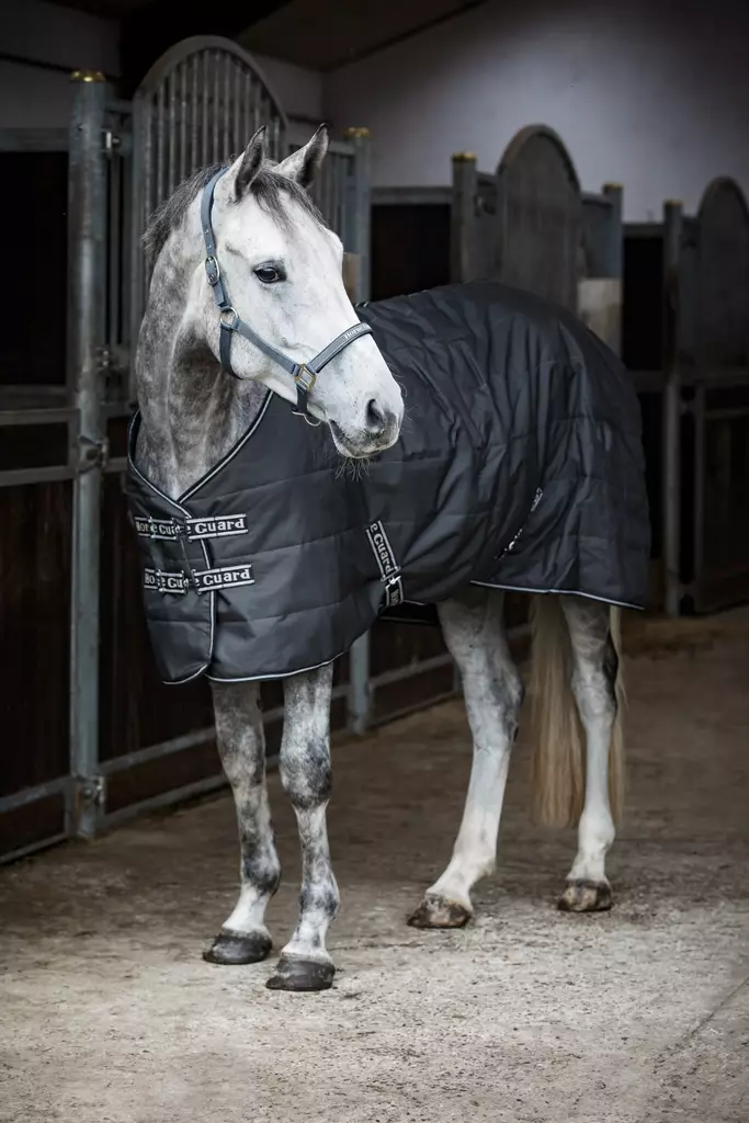 Talliloimi Sophie 100g 600D Asphalt HorseGuard - Hevosen kevyttoppatalliloimet - 054668 - 1