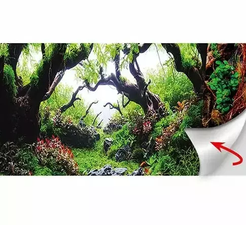 Taustakuva liimalla Dream/Wooden Sky 120x50cm Hobby - Akvaarion tarvikkeet ja hiekat - 059158 - 1