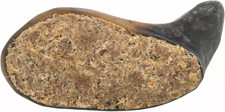 Täytetty puhvelinsarvi 10-14cm Trixie - Koirien puruluut - 051418 - 1