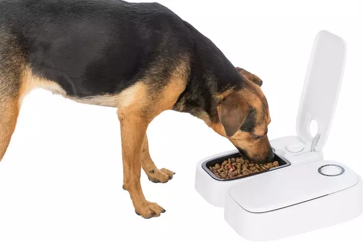 Ruokinta-automaatti TX2 2x300ml Trixie - Koiran ruokinta- ja vesiautomaatit - 041858 - 1