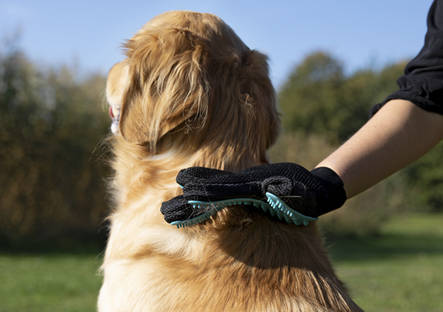 Harjaussormikas turkoosi 16x24cm Trixie - Koiran harjat, karstat ja suat - 009449 - 2