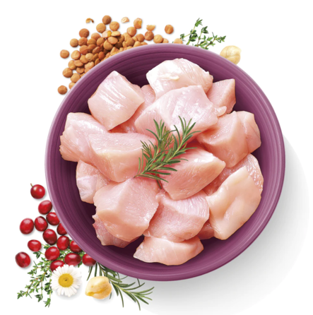 Kana True Fresh Carnilove Cat - Kissan kuivaruoat aikuisille kissoille - 034009 - 2