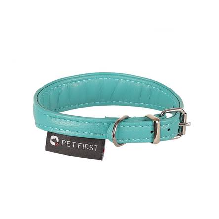 Nahkainen pentupanta muotoiltu 22mmx30cm turkoosi Nahkakunta - Koiran solkipannat - 019049 - 1