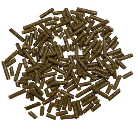 Vitamin E + Seleeni Marstall - Hevosen kivennäiset ja vitamiinit - 034099 - 2