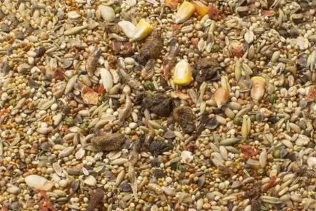 Hamsterin täysrehu Daily Food 600g JR Farm - Hamsterin ja hiirien ruoka - 017949 - 3