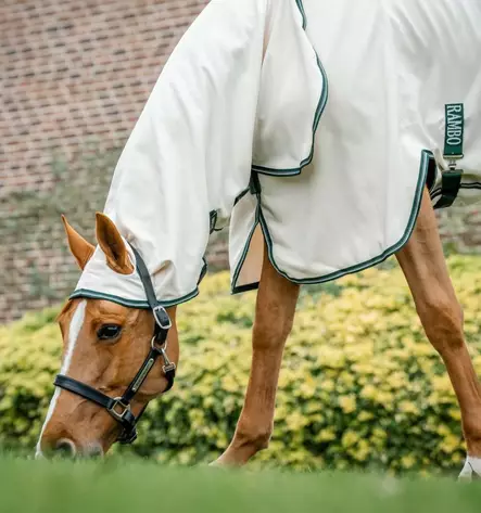 Ihottumaloimi Rambo Hoody kiinteällä kaulakappaleella kalkki / vaaleanvihreä Horseware - Hevosen ihottumaloimet - 056339 - 2