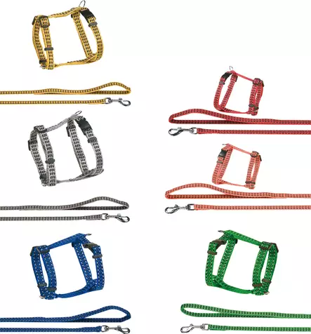 Kissan valjassetti Bright värimix Flamingo - Kissan valjaat - 056499 - 1