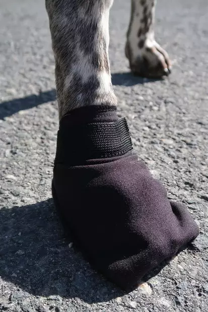 Koiran tossut Comfort Fleece Booties 4kpl musta V.I.P Dogwear - Koiran tossut, sukat ja korvasuojat - 056099 - 2