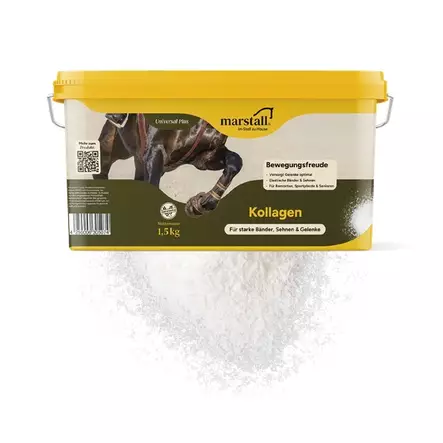 Kollagen 1,5kg Marstall - Lisäravinteet nivelille & tukikudoksille - 034109 - 3