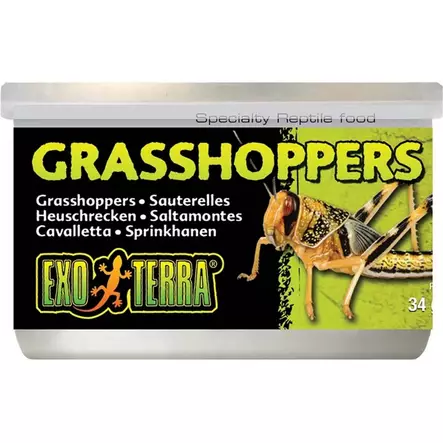 Kuivattu heinäsirkka Grasshoppers 34g prk Exoterra - Matelijoiden ruokinta ja lisäravinteet - 044989 - 1