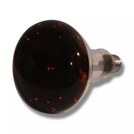 Lämpölamppu punainen 150W Willab - Eläinsuojan lämmitys - 023619 - 1