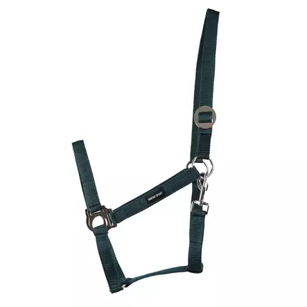Nylonriimu Core vihreä Hansbo Sport - Hevosen nylonriimut - 056609 - 2