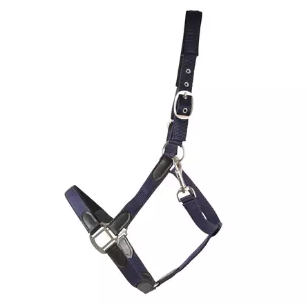 Nylonriimu Edit nahkaisilla yksityiskohdilla musta Hansbo Sport - Hevosen nylonriimut - 056549 - 1