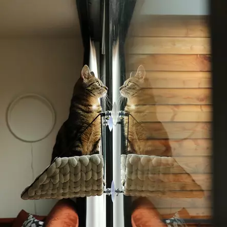 Ikkunapeti Sofia imukupeilla max 10kg harmaa D&D - Kissan pesä-, iglu- ja riippupedit - 047299 - 3