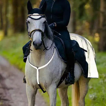 Rintaremmi heijastava hopea Hansbo Sport - Hevosten heijastimet ja turvavalot - 036509 - 2