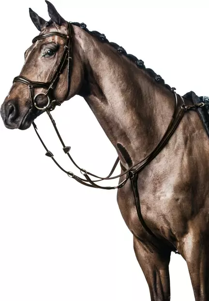 Rintaremmimartingaali Soft ruskea HorseGuard - Ratsun martingnaalit ja rintaremmit - 054429 - 1