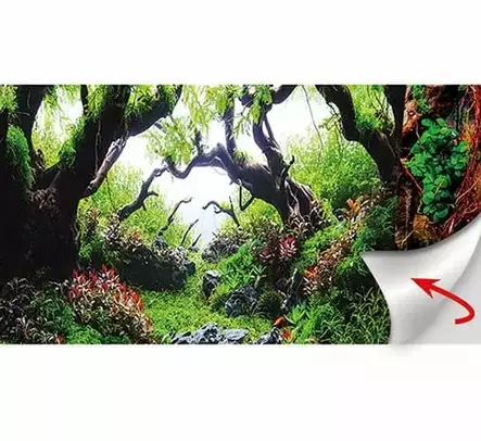 Taustakuva liimalla Dream/Wooden Sky 60x30cm Hobby - Akvaarion tarvikkeet ja hiekat - 059159 - 2