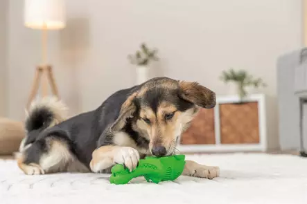 Täytettävä herkkukrokotiili luonnonkumia 18cm vihreä Trixie - Koiran aktivointilelut - 054929 - 2