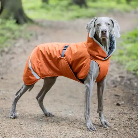 ToppaPomppa valjasaukolla Rust - Koiran manttelit - 054779 - 2