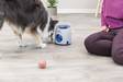 Aktivointilelu Ball Treat Dog Activity 17x18cm Trixie - Koiran aktivointilelut - 037449 - 9