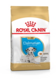 Dalmatian Puppy 12kg Royal Canin - Kuivaruoat pennuille ja kasvatukseen - 018669 - 1
