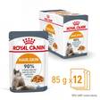 Hair & Skin Care Jelly 12x85g hyytelö Royal Canin - Aikuisten kissojen säilykkeet - 000619 - 4