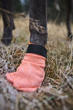 Koiransukat Protector light socks 4kpl lyhyet Non-stop dogwear - Koiran tossut, sukat ja korvasuojat - 037329 - 5